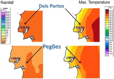 Design of a Custom RT-qPCR Array for Assignment of Abiotic Stress Tolerance in Traditional Portuguese Grapevine Varieties